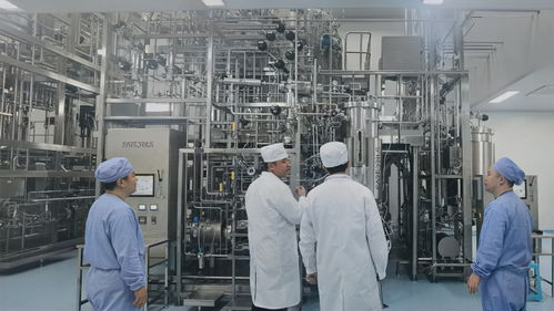 AI助飛科研創業 多快好省——藥品生產領域科研范式變革催生新質生產力調查（下篇）